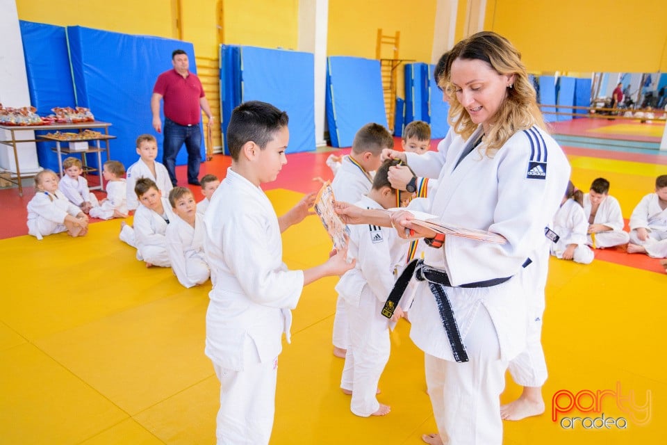 Demonstratia micilor Judoka, Liceul cu Program Sportiv