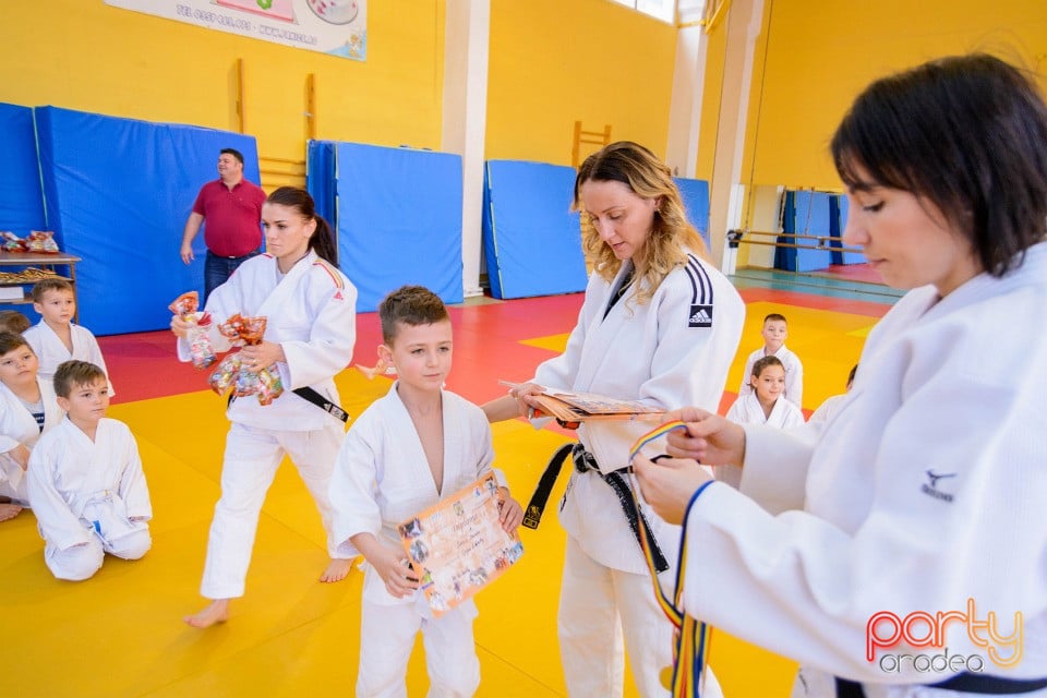 Demonstratia micilor Judoka, Liceul cu Program Sportiv