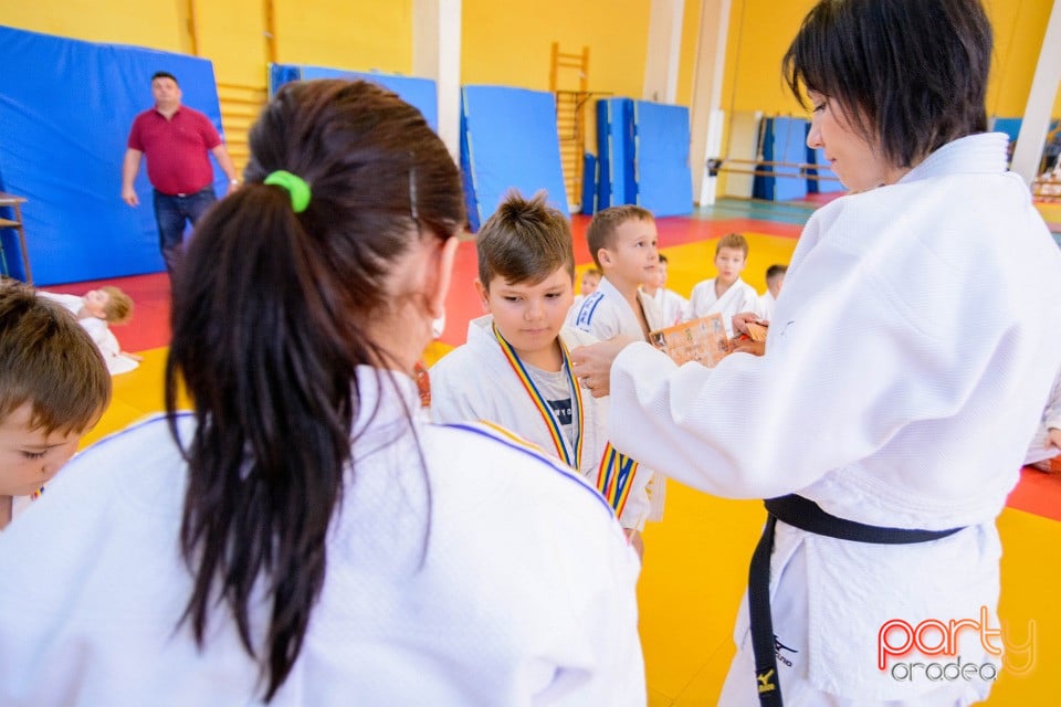 Demonstratia micilor Judoka, Liceul cu Program Sportiv