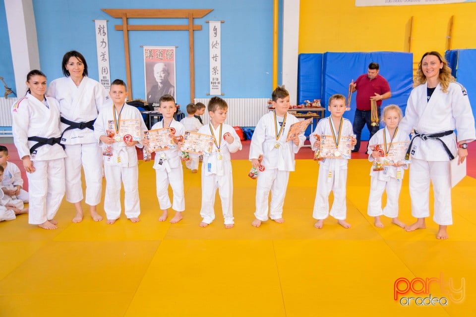 Demonstratia micilor Judoka, Liceul cu Program Sportiv