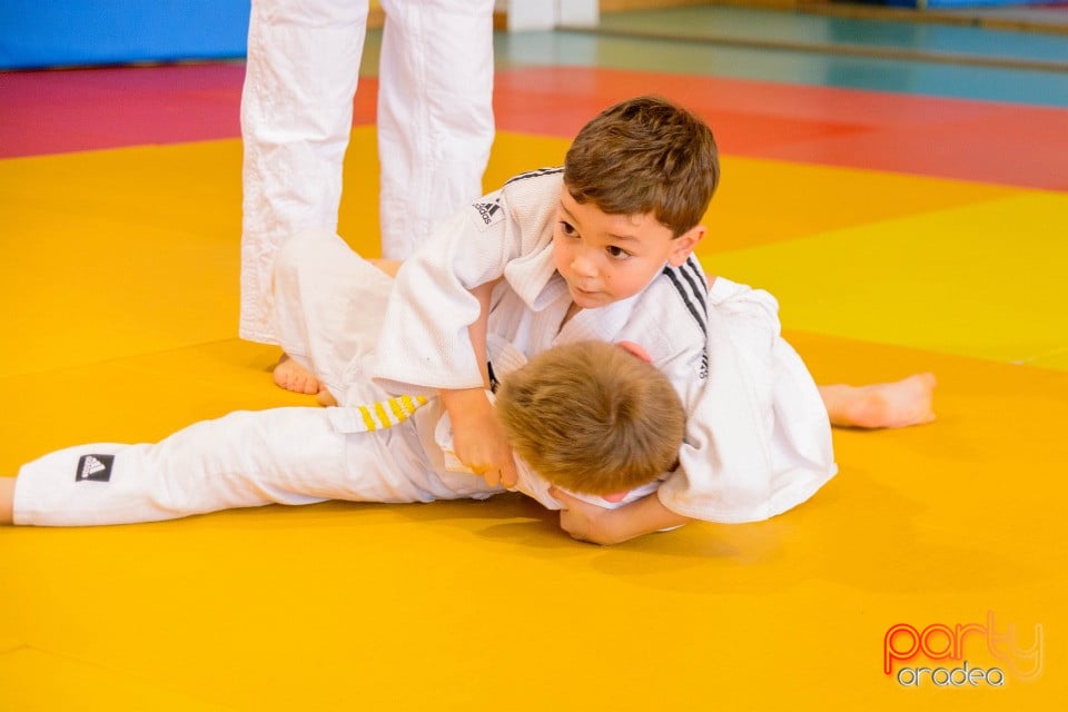 Demonstratia micilor Judoka, Liceul cu Program Sportiv