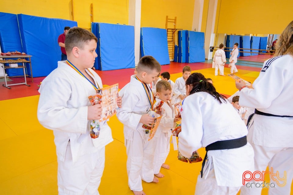 Demonstratia micilor Judoka, Liceul cu Program Sportiv