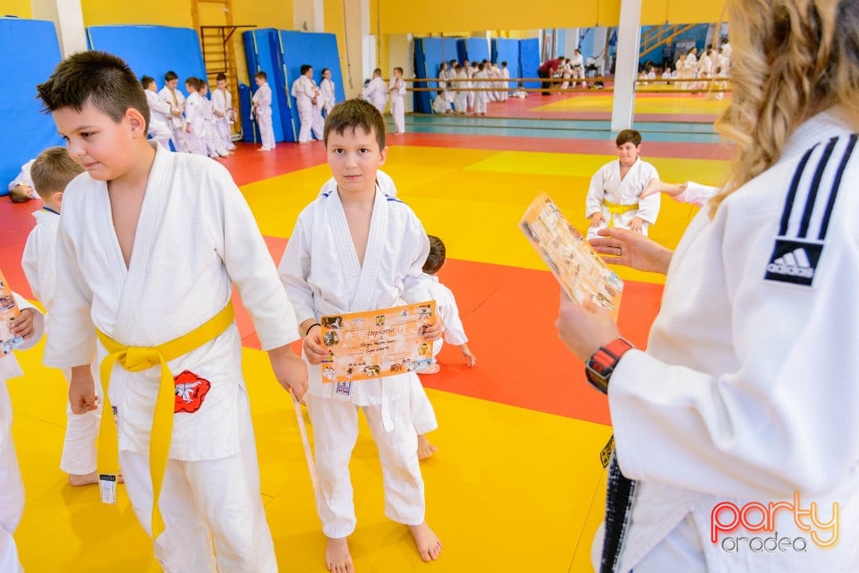 Demonstratia micilor Judoka, Liceul cu Program Sportiv