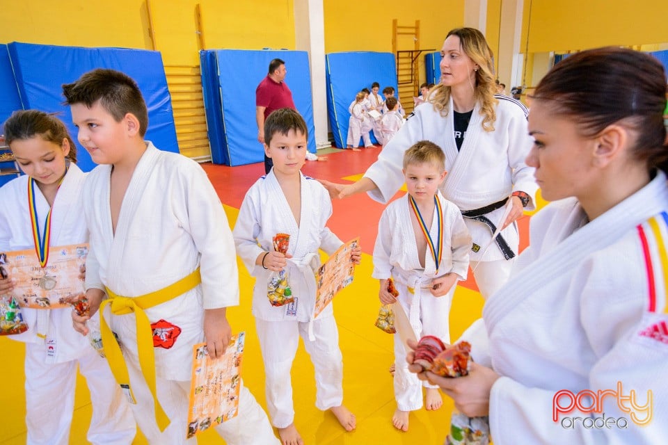 Demonstratia micilor Judoka, Liceul cu Program Sportiv