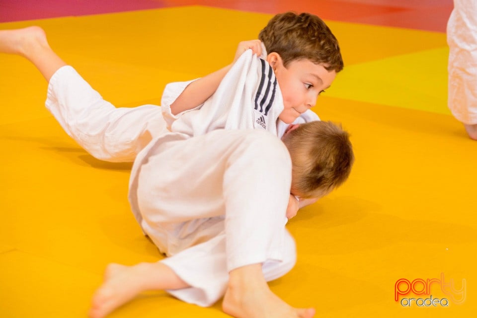 Demonstratia micilor Judoka, Liceul cu Program Sportiv