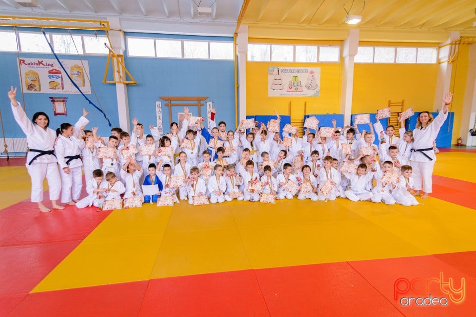 Demonstratia micilor Judoka, Liceul cu Program Sportiv