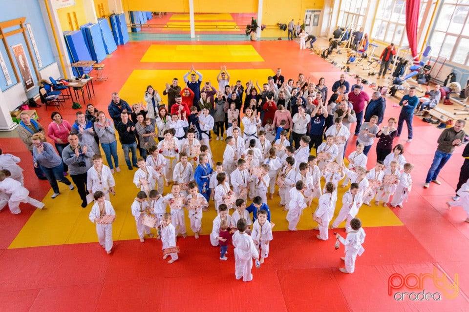 Demonstratia micilor Judoka, Liceul cu Program Sportiv