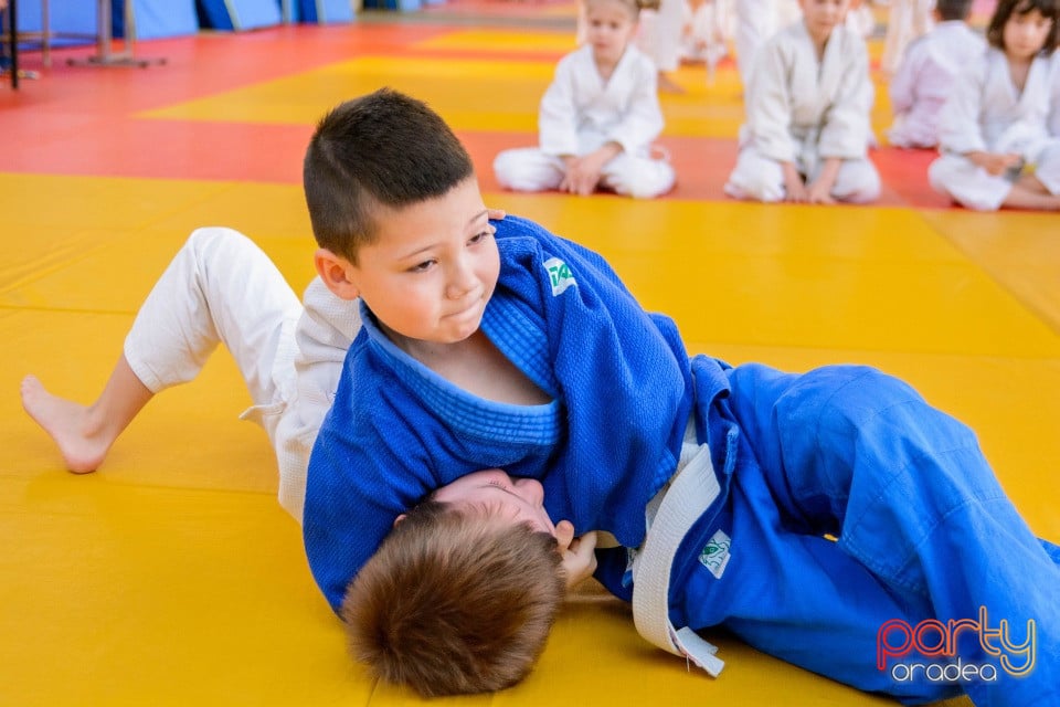 Demonstratia micilor Judoka, Liceul cu Program Sportiv