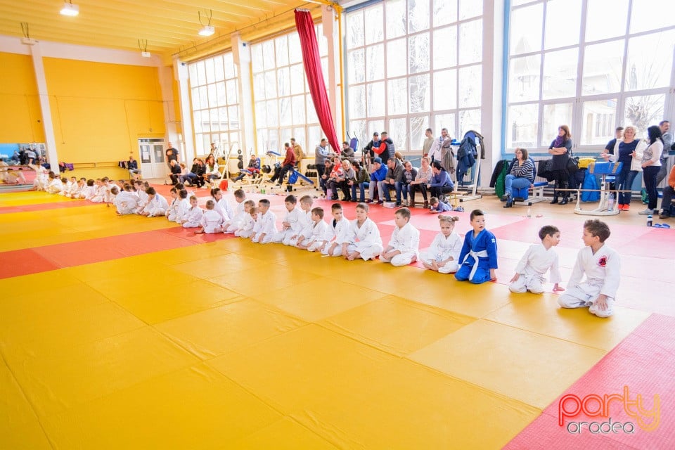 Demonstratia micilor Judoka, Liceul cu Program Sportiv