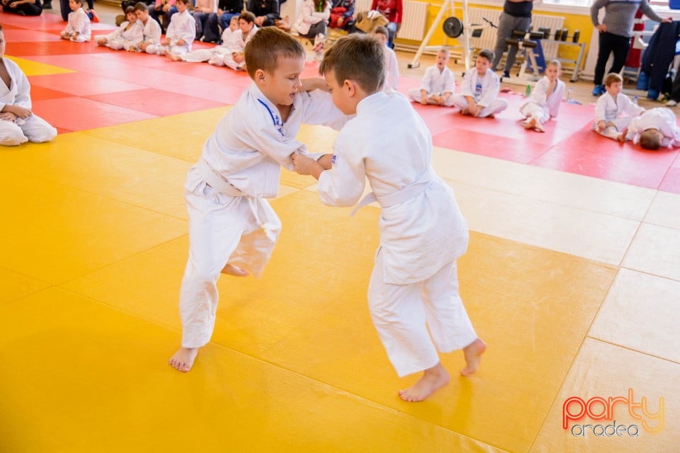 Demonstratia micilor Judoka, Liceul cu Program Sportiv