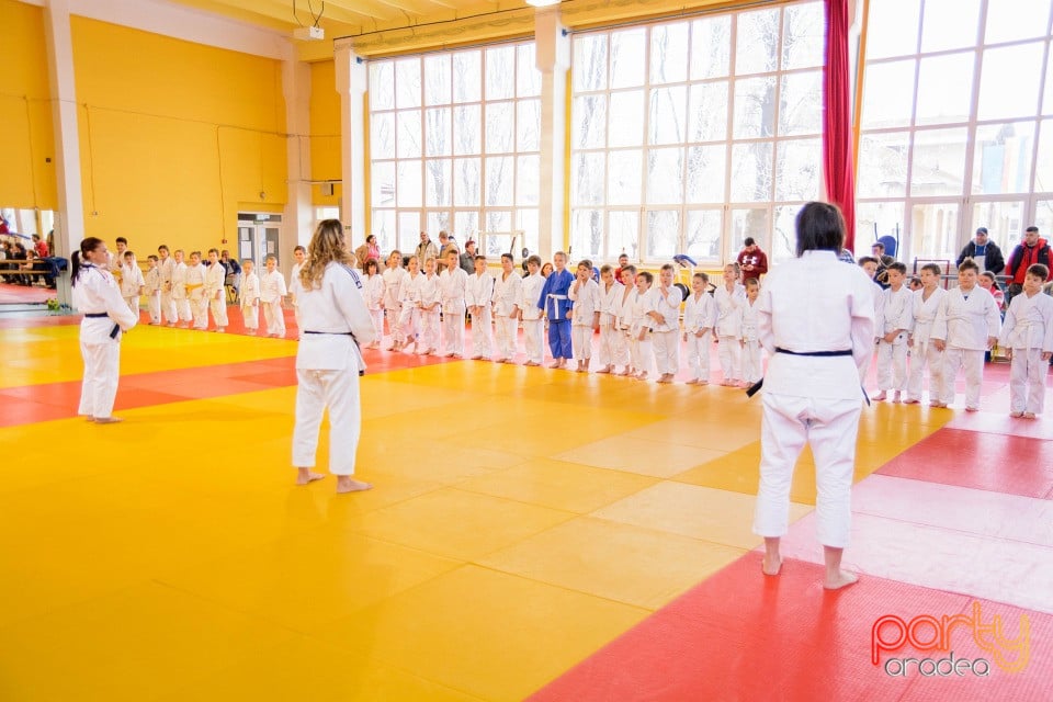 Demonstratia micilor Judoka, Liceul cu Program Sportiv