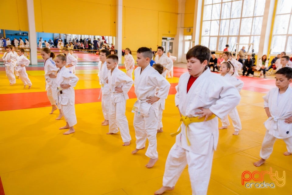 Demonstratia micilor Judoka, Liceul cu Program Sportiv