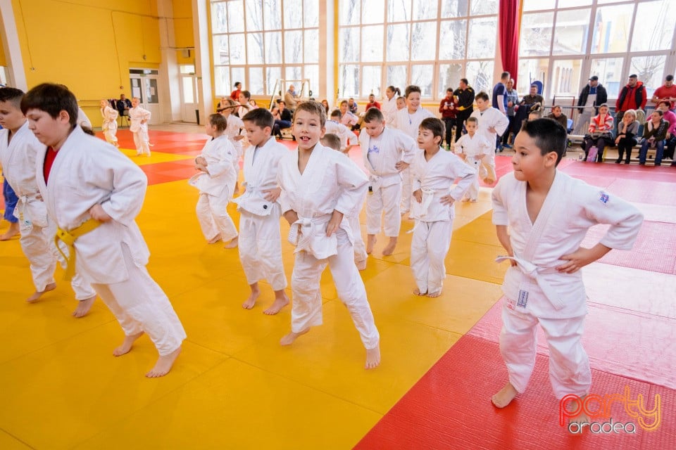 Demonstratia micilor Judoka, Liceul cu Program Sportiv