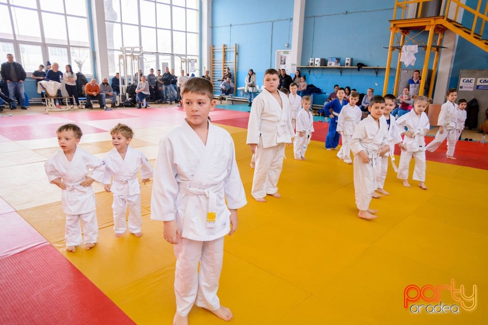 Demonstratia micilor Judoka, Liceul cu Program Sportiv