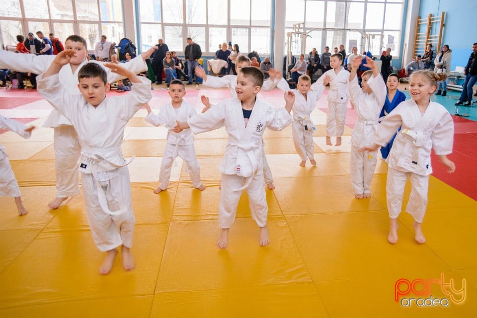 Demonstratia micilor Judoka, Liceul cu Program Sportiv