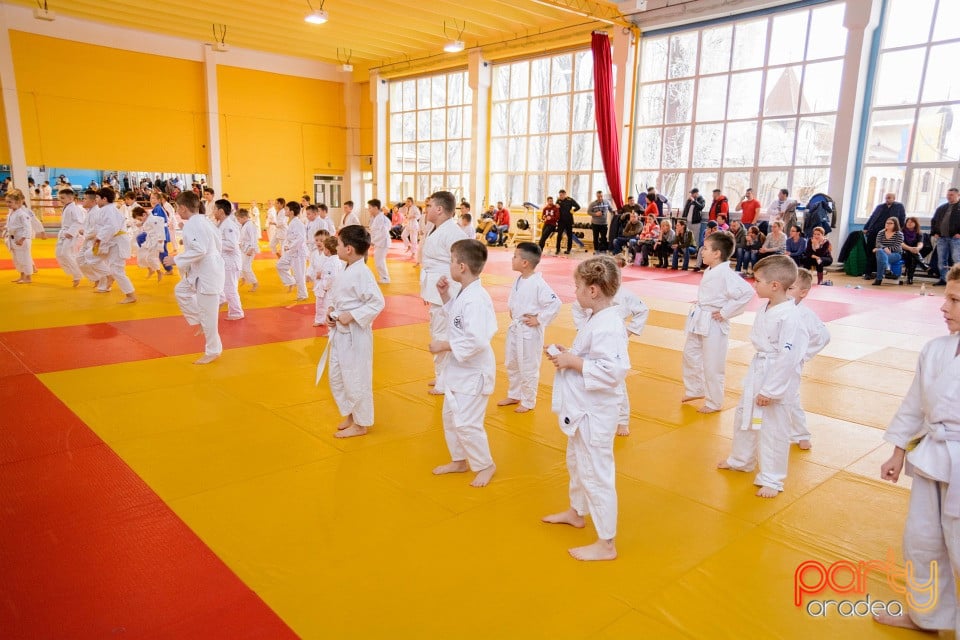 Demonstratia micilor Judoka, Liceul cu Program Sportiv