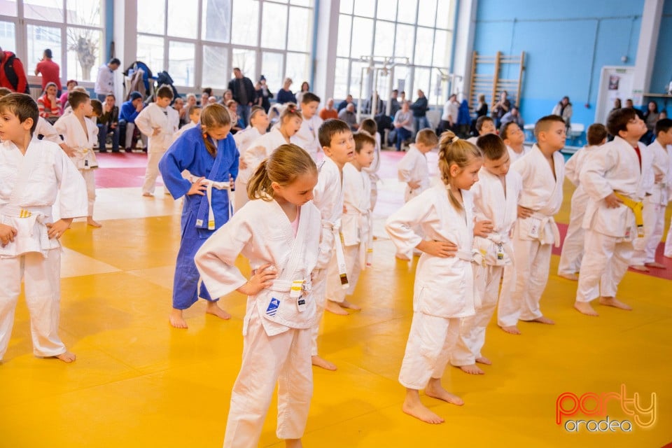 Demonstratia micilor Judoka, Liceul cu Program Sportiv