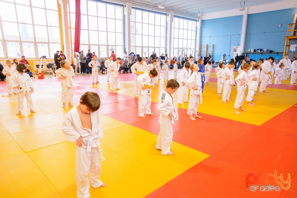 Demonstratia micilor Judoka, Liceul cu Program Sportiv