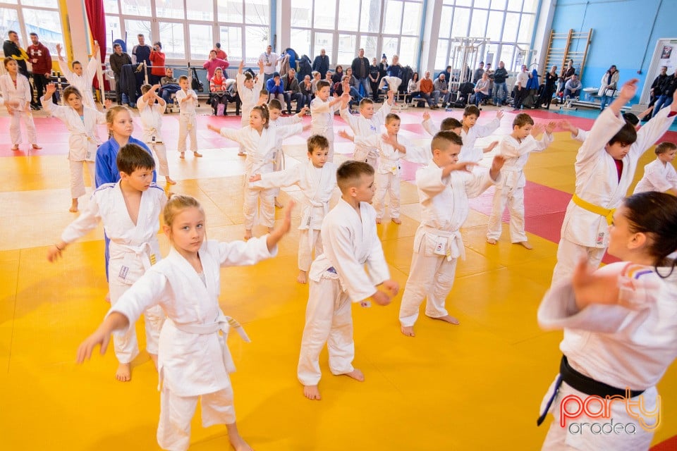 Demonstratia micilor Judoka, Liceul cu Program Sportiv