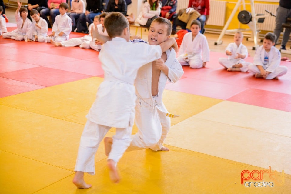 Demonstratia micilor Judoka, Liceul cu Program Sportiv