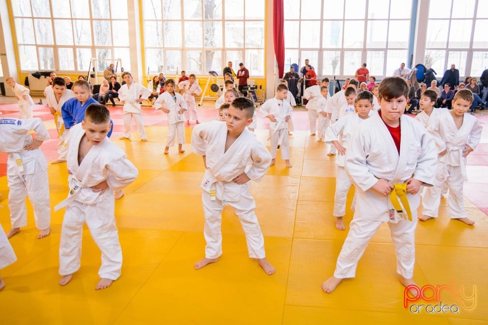 Demonstratia micilor Judoka, Liceul cu Program Sportiv