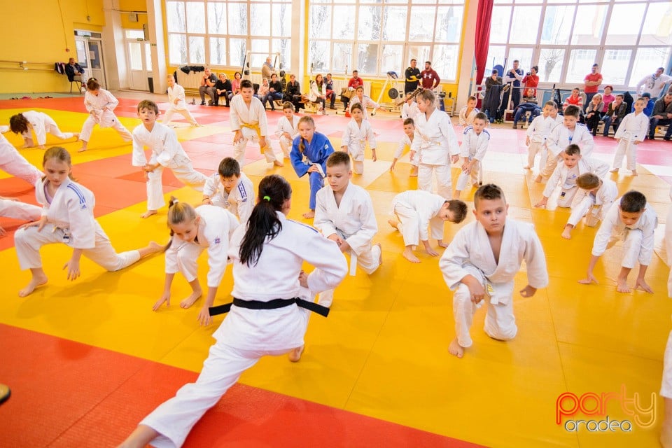 Demonstratia micilor Judoka, Liceul cu Program Sportiv