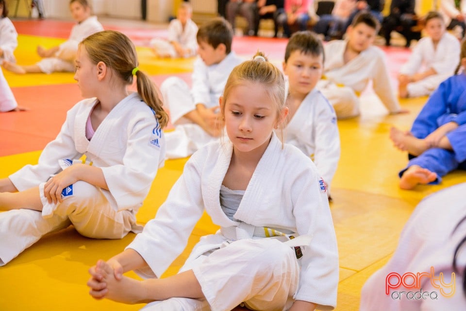 Demonstratia micilor Judoka, Liceul cu Program Sportiv