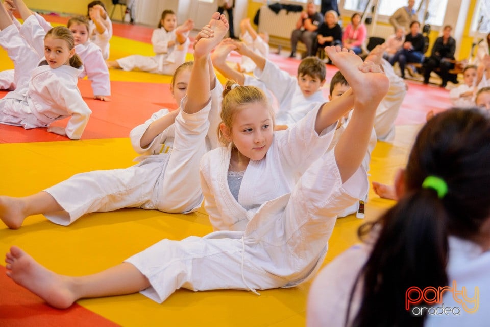 Demonstratia micilor Judoka, Liceul cu Program Sportiv