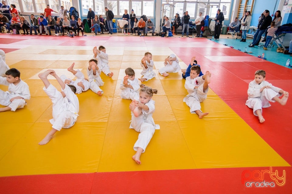 Demonstratia micilor Judoka, Liceul cu Program Sportiv