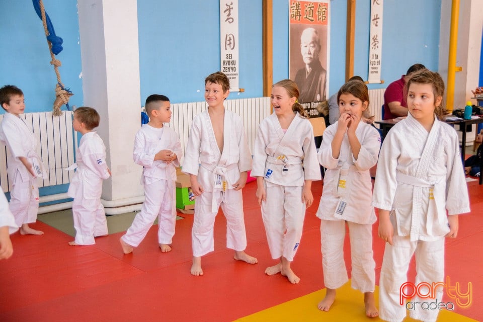 Demonstratia micilor Judoka, Liceul cu Program Sportiv