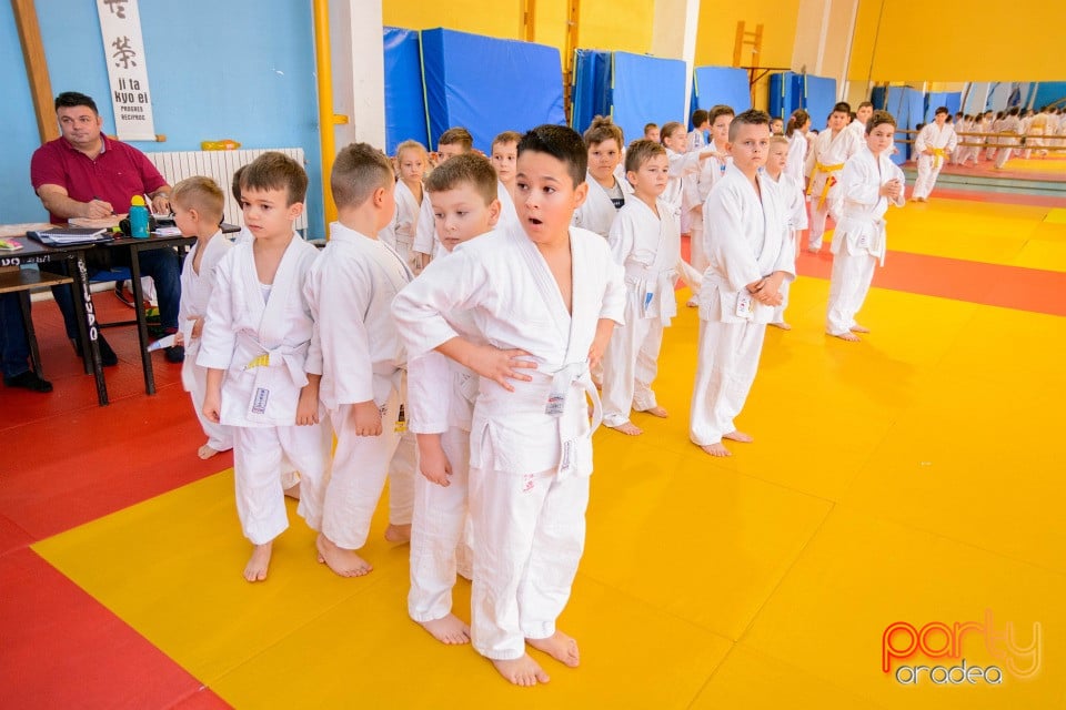 Demonstratia micilor Judoka, Liceul cu Program Sportiv