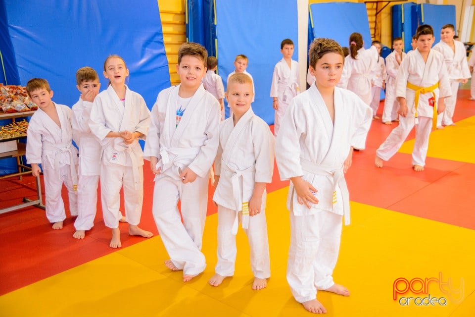 Demonstratia micilor Judoka, Liceul cu Program Sportiv