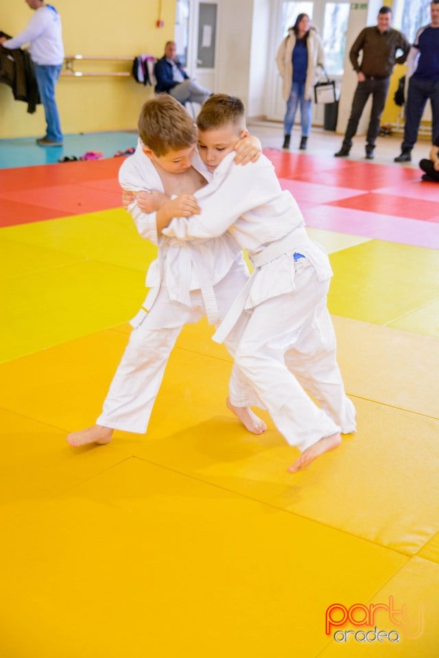 Demonstratia micilor Judoka, Liceul cu Program Sportiv