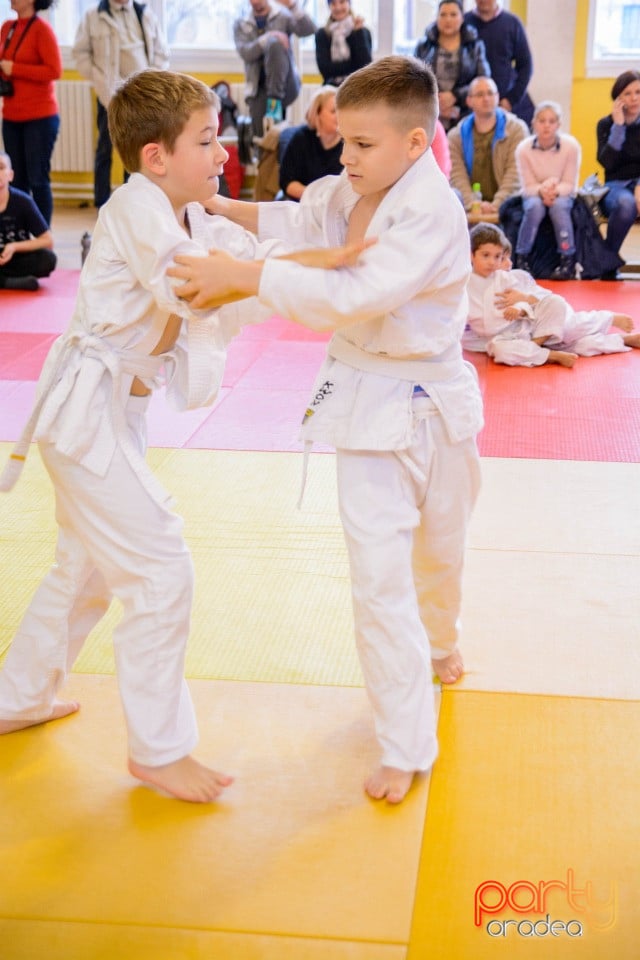 Demonstratia micilor Judoka, Liceul cu Program Sportiv