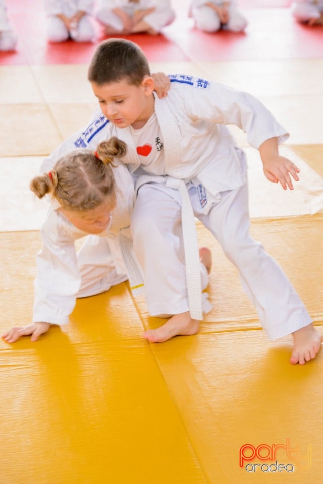 Demonstratia micilor Judoka, Liceul cu Program Sportiv