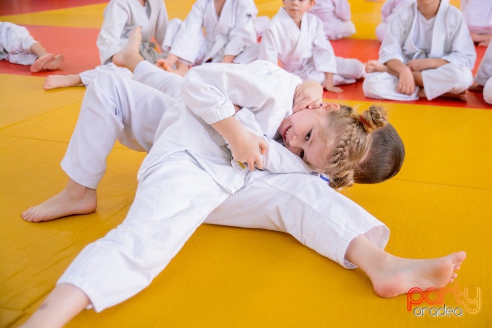 Demonstratia micilor Judoka, Liceul cu Program Sportiv