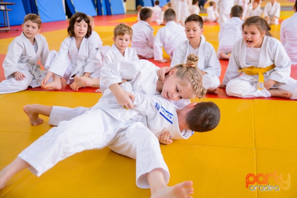 Demonstratia micilor Judoka, Liceul cu Program Sportiv