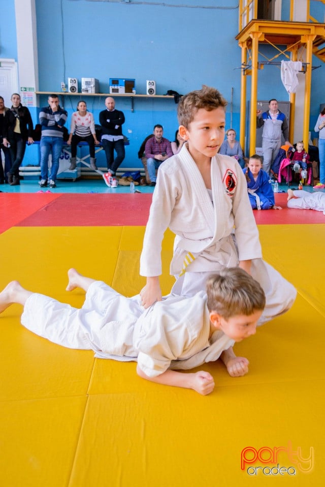 Demonstratia micilor Judoka, Liceul cu Program Sportiv