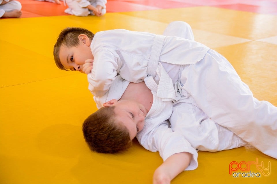 Demonstratia micilor Judoka, Liceul cu Program Sportiv