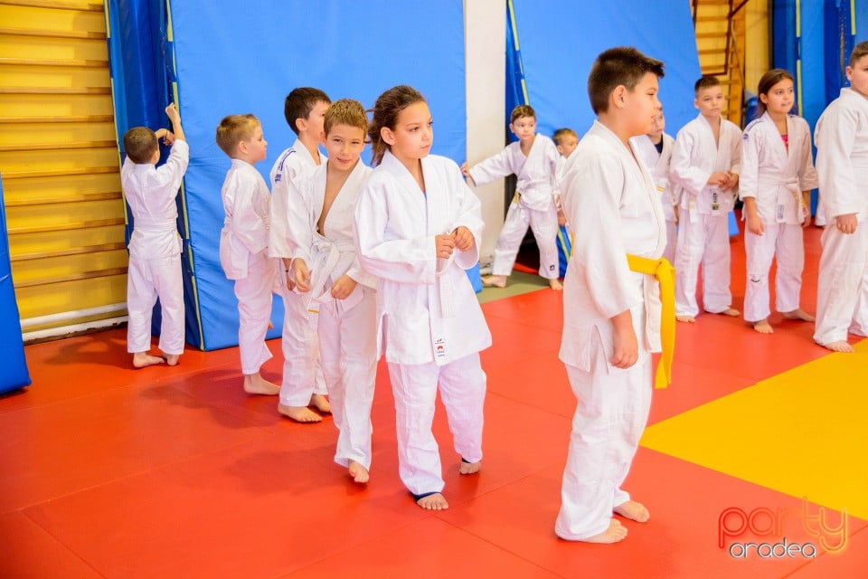 Demonstratia micilor Judoka, Liceul cu Program Sportiv