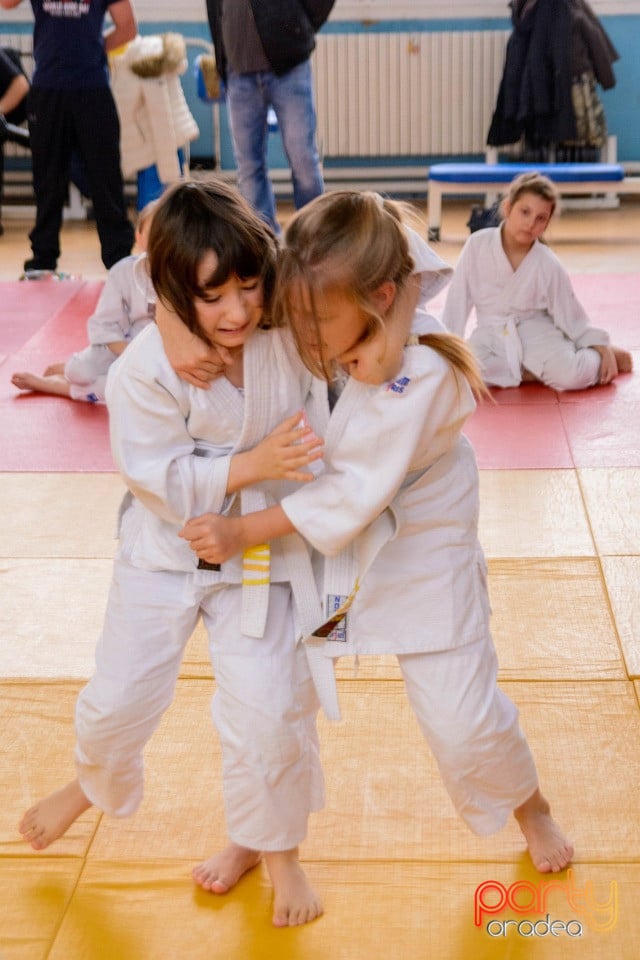 Demonstratia micilor Judoka, Liceul cu Program Sportiv