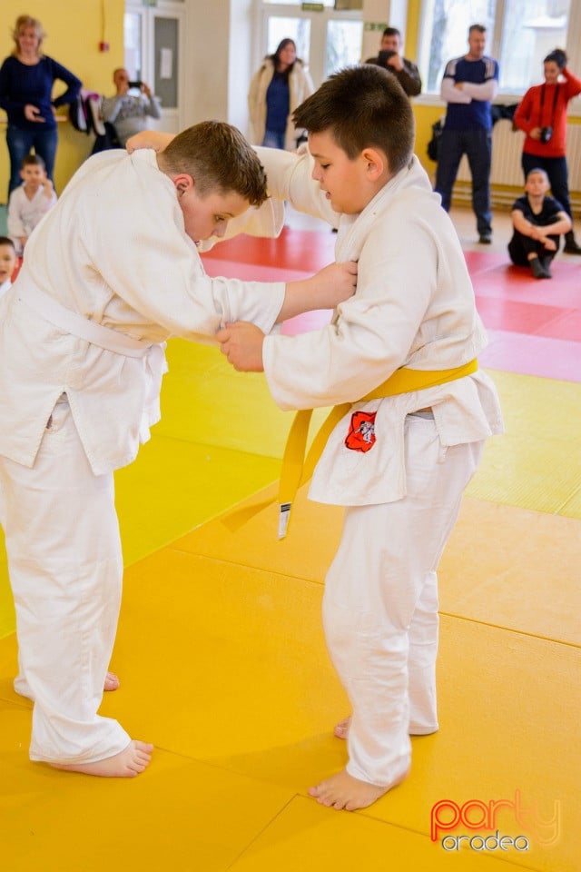 Demonstratia micilor Judoka, Liceul cu Program Sportiv