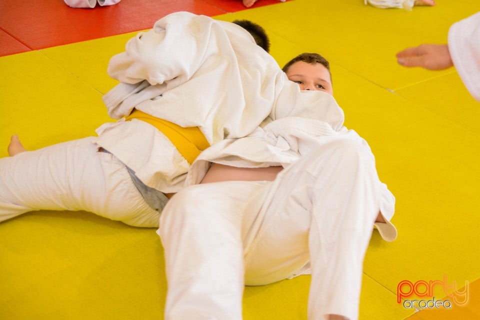 Demonstratia micilor Judoka, Liceul cu Program Sportiv