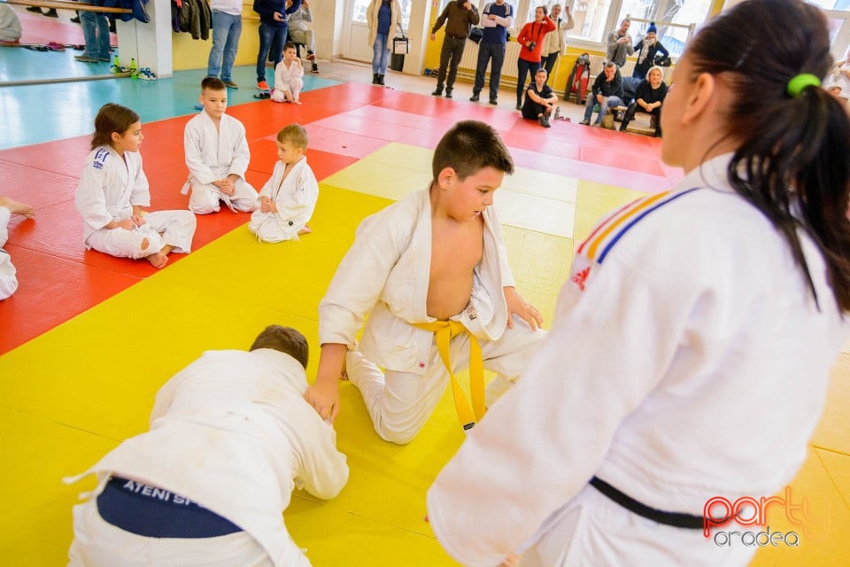 Demonstratia micilor Judoka, Liceul cu Program Sportiv