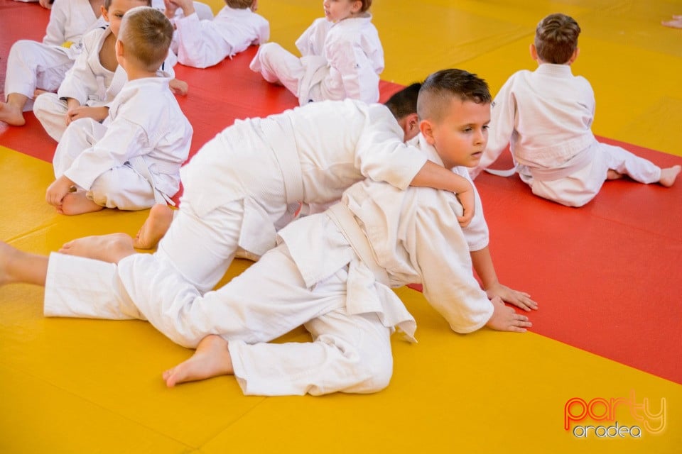 Demonstratia micilor Judoka, Liceul cu Program Sportiv