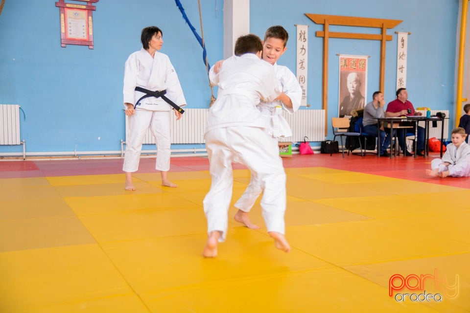 Demonstratia micilor Judoka, Liceul cu Program Sportiv