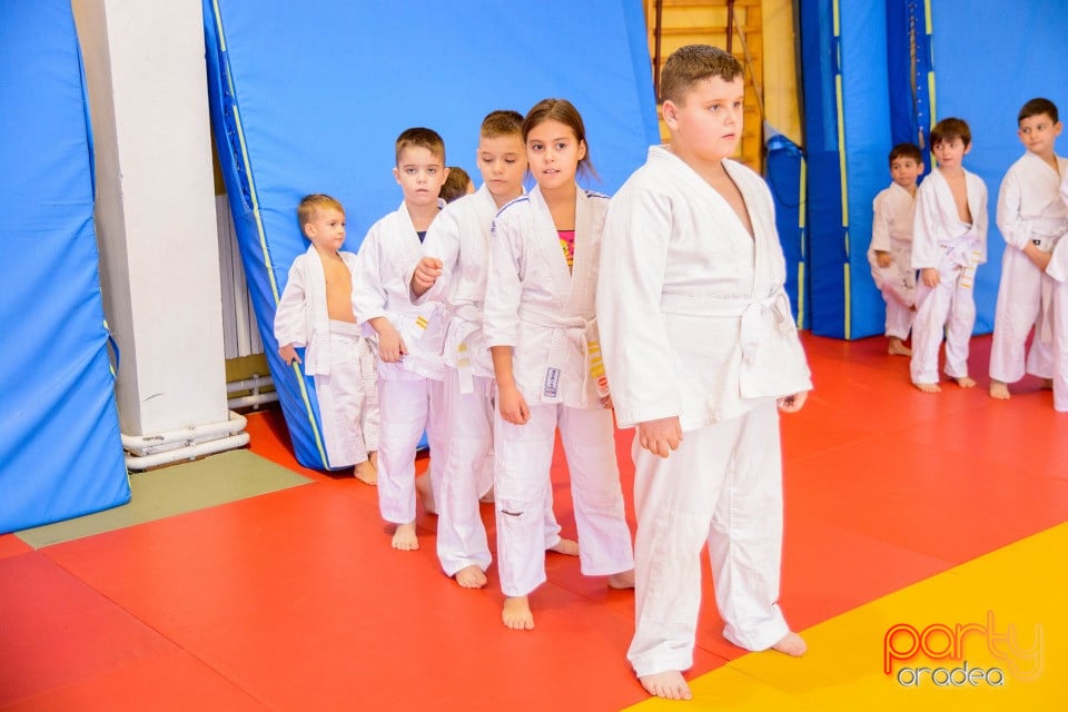 Demonstratia micilor Judoka, Liceul cu Program Sportiv