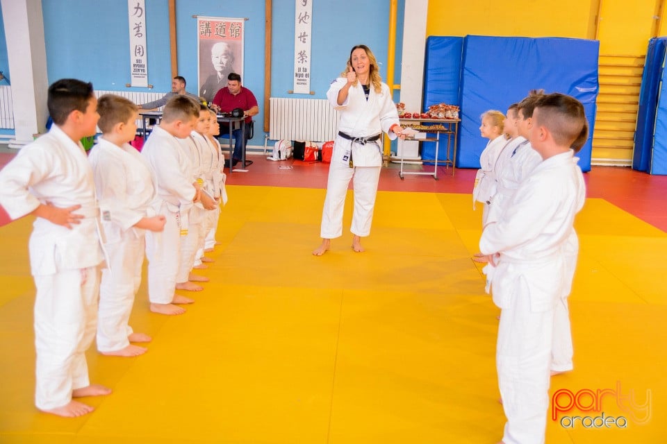 Demonstratia micilor Judoka, Liceul cu Program Sportiv