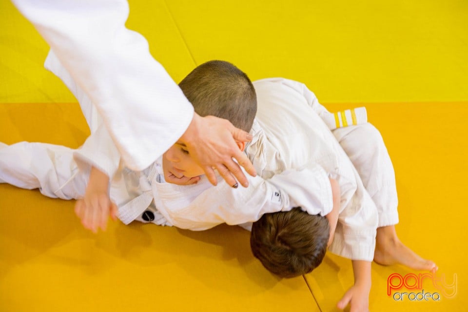 Demonstratia micilor Judoka, Liceul cu Program Sportiv