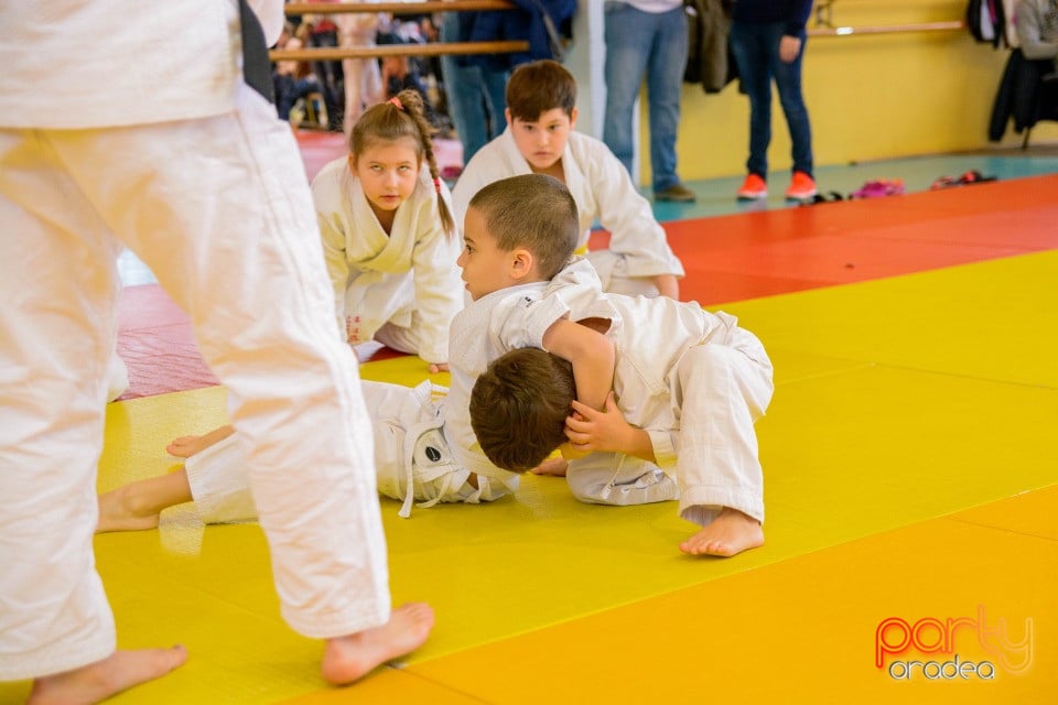 Demonstratia micilor Judoka, Liceul cu Program Sportiv